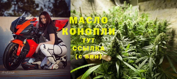 гашик Ладушкин