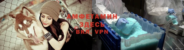 мяу мяу мука Михайловск