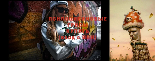 МДПВ Лагань