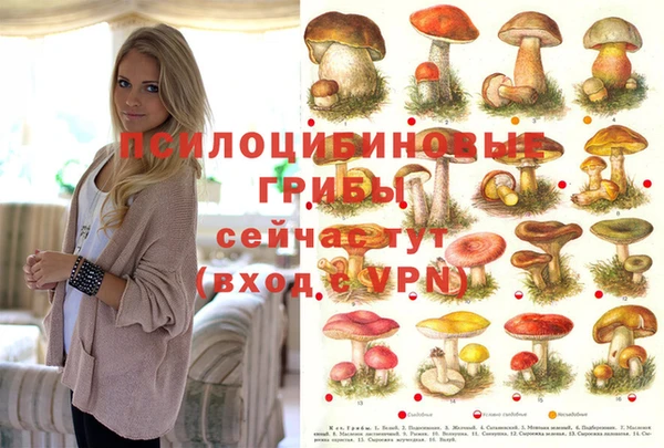 мяу мяу мука Михайловск