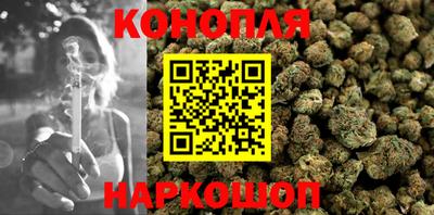 стафф Донецк