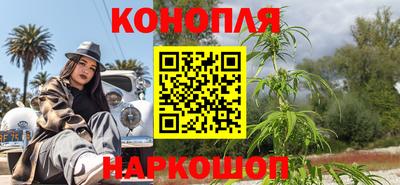 стафф Донецк