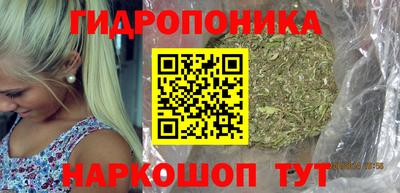 стафф Донецк