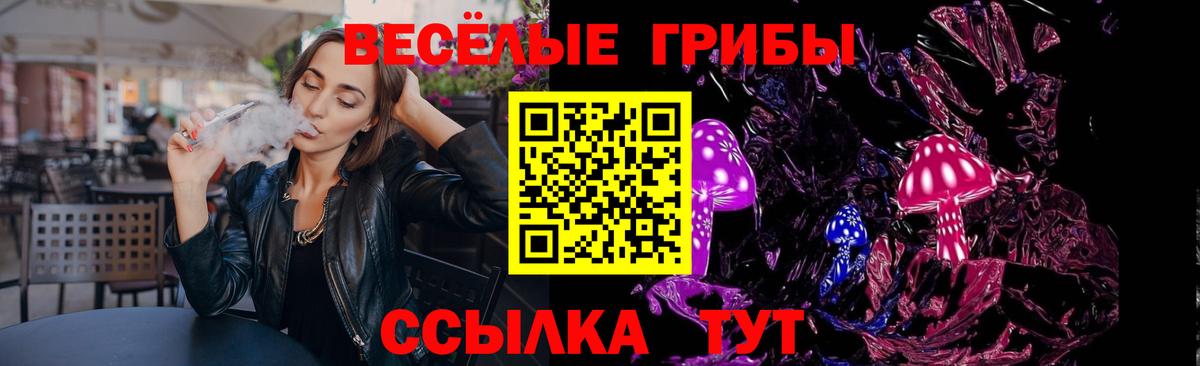 Псилоцибиновые грибы Psilocybe Железногорск