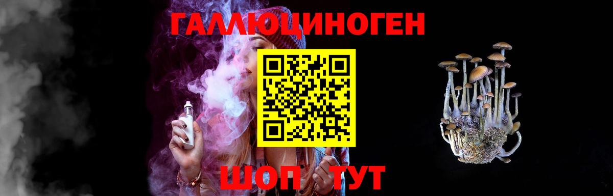 Галлюциногенные грибы Psilocybe  Железногорск 